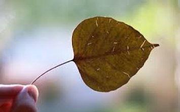 Cái giá phải trả cho sự thất hứa 